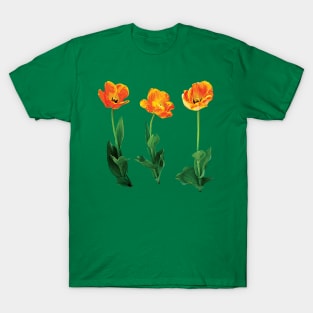 Three Tulips in a Row T-Shirt